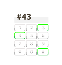 #43 Dialpad